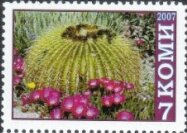 Cacti