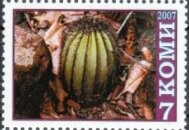 Stamp, Cacti, Cinderellas,  , Cacti, Flowers, Plants (Flora)