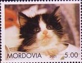 Stamp, Cat, Cinderellas,  , Animals (Fauna), Cats, Mammals