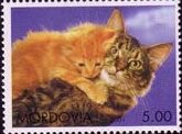 Stamp, Cat, Cinderellas,  , Animals (Fauna), Cats, Mammals