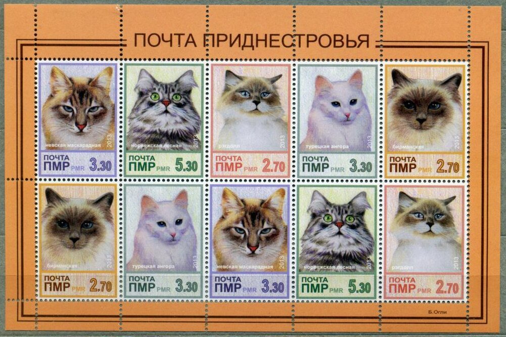 Cats