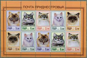Mini Sheet, Cats, Cinderellas,  , Animals (Fauna), Cats, Mammals
