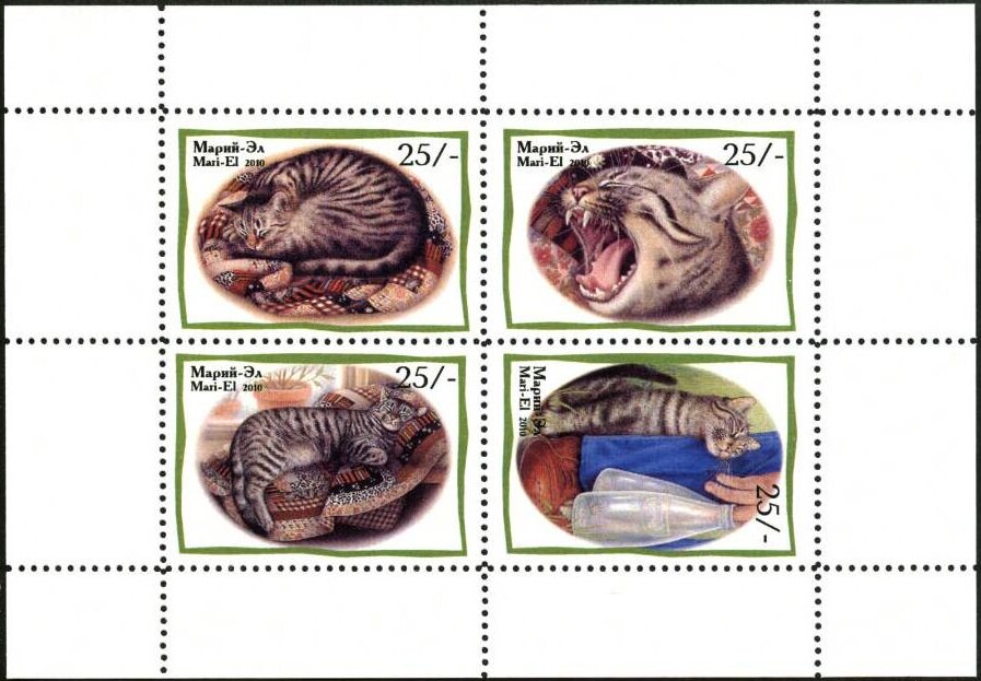 Cats