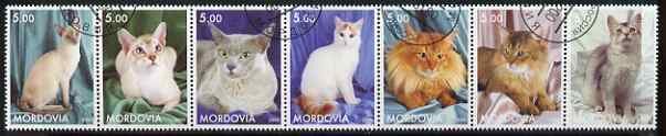 Cats