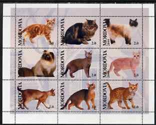Cats