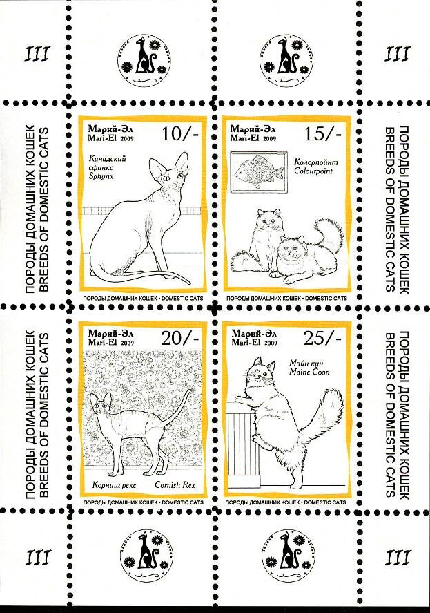 Cats III