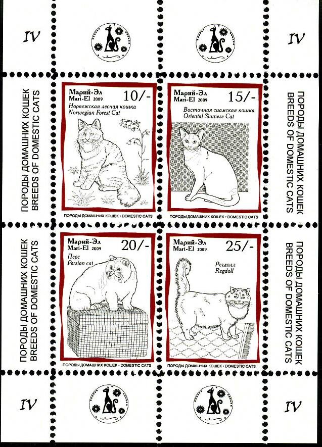 Cats IV