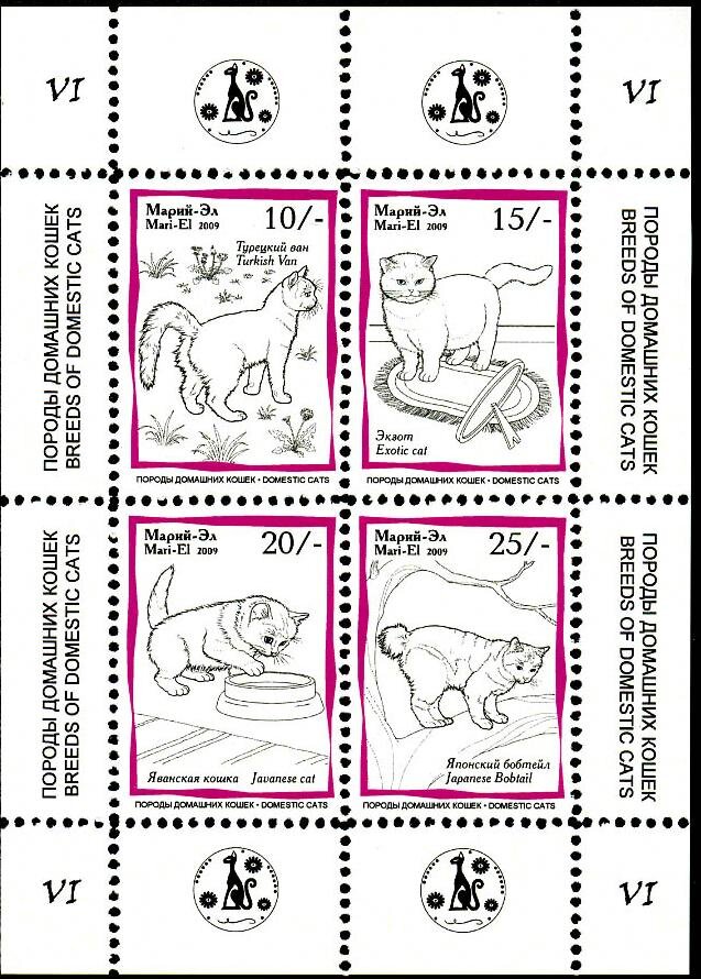 Cats VI