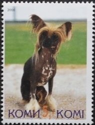 Stamp, Dog, Cinderellas,  , Animals (Fauna), Dogs, Mammals