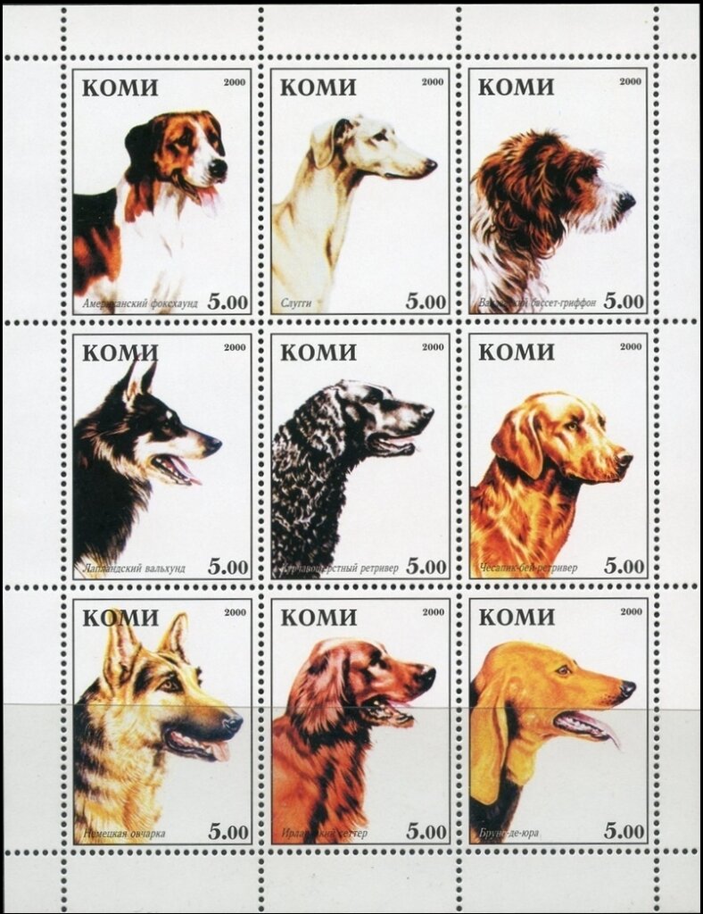 Dogs