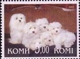 Dogs