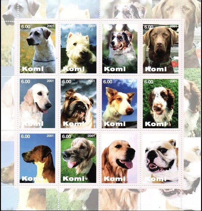 Dogs