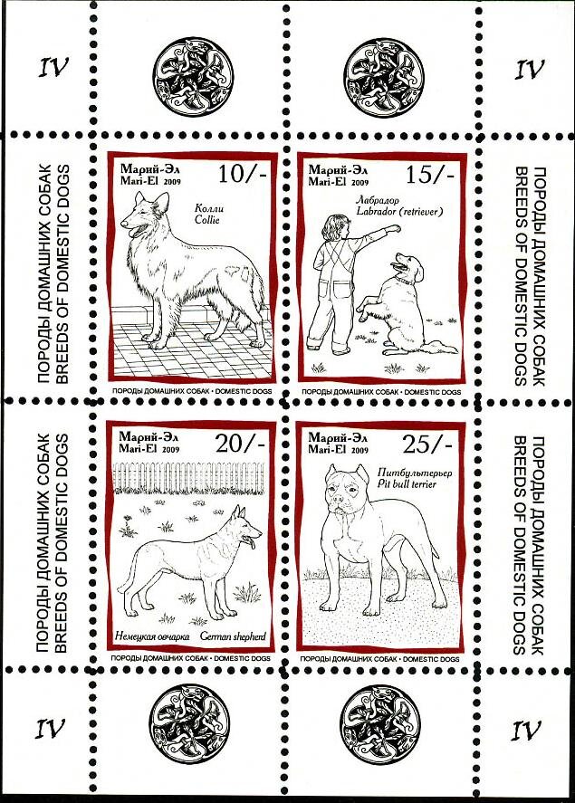 Dogs IV