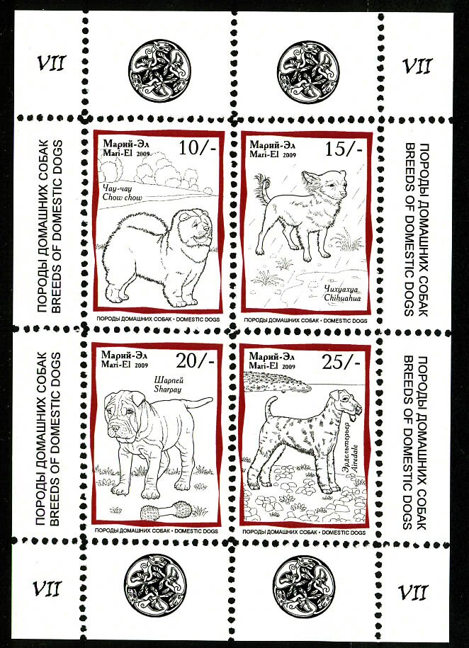 Dogs VII