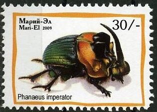 Insects