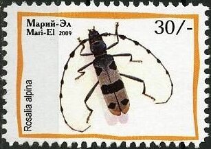 Insects