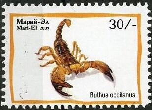 Insects