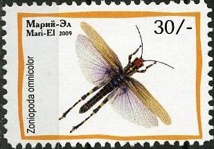 Stamp, Insects, Cinderellas,  , Animals (Fauna), Insects