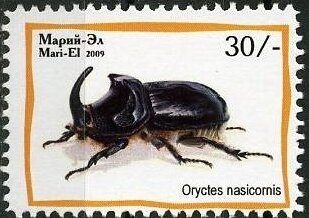Insects