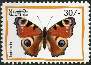 Insects