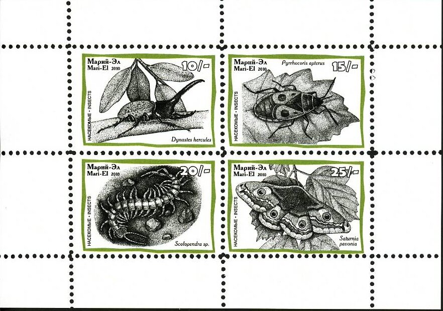 Insects