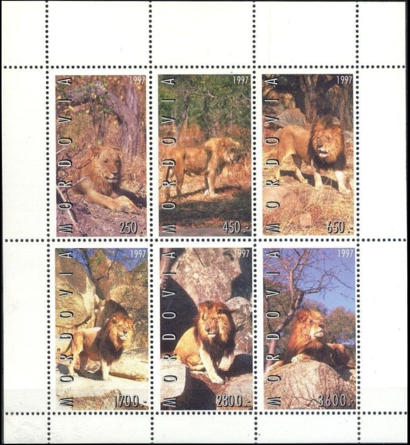 Lions