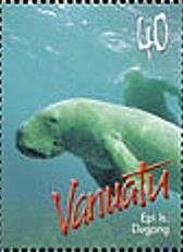 Dugong (Dugong dugon), Island Epi