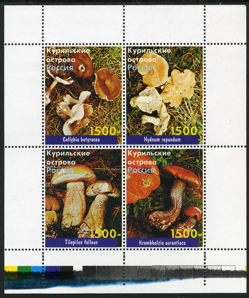 Mushrooms