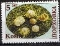Stamp, Mushrooms, Cinderellas,  , Mushrooms