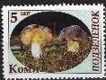 Mushrooms