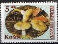 Mushrooms