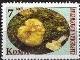 Mushrooms