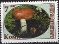 Mushrooms