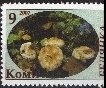 Mushrooms