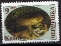 Stamp, Mushrooms, Cinderellas,  , Mushrooms