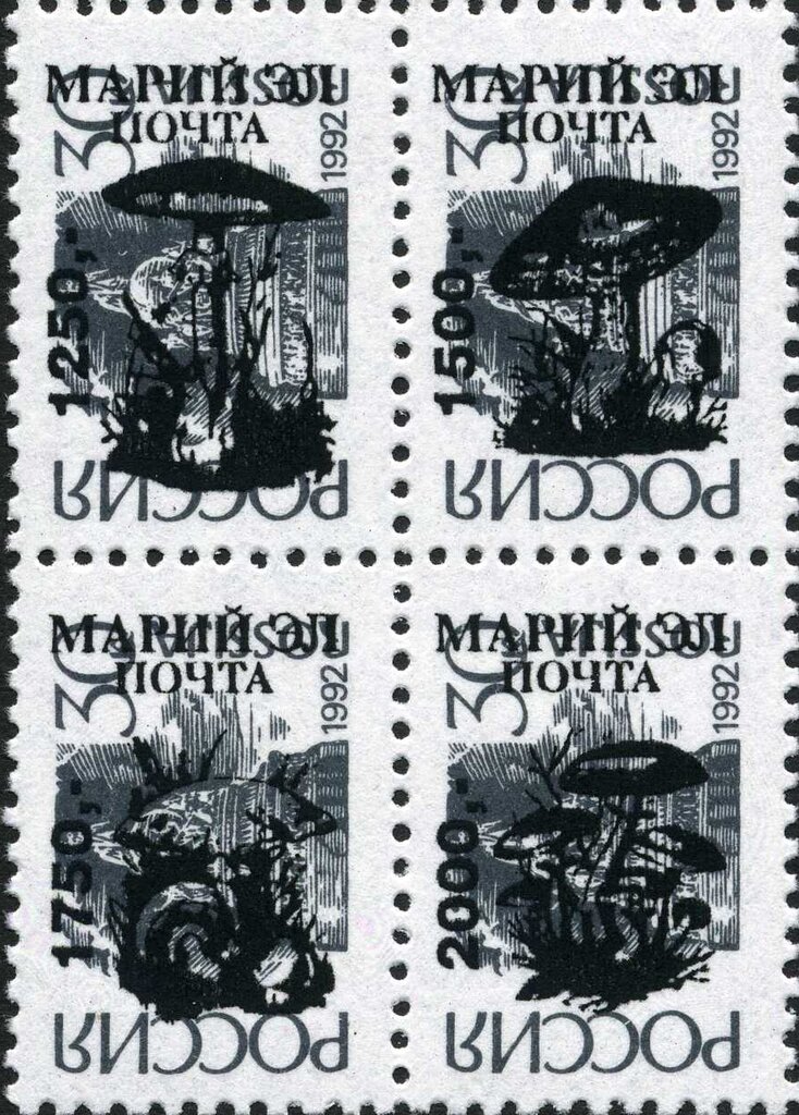 Mushrooms