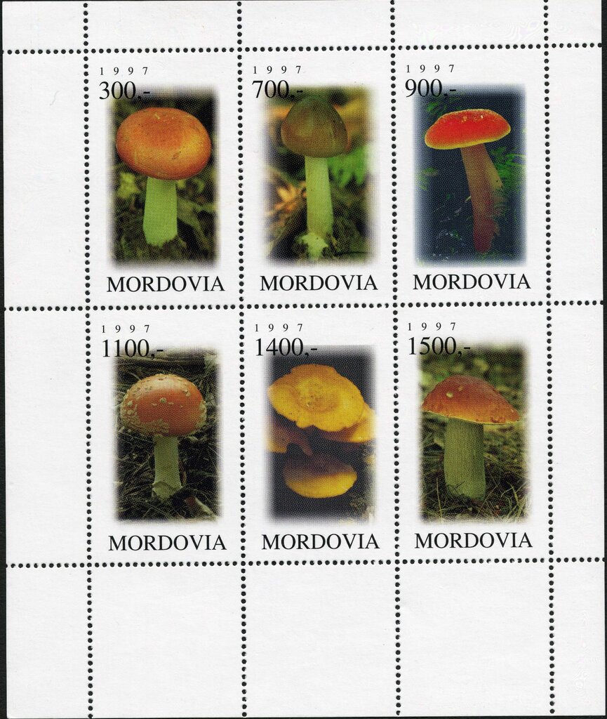 Mushrooms