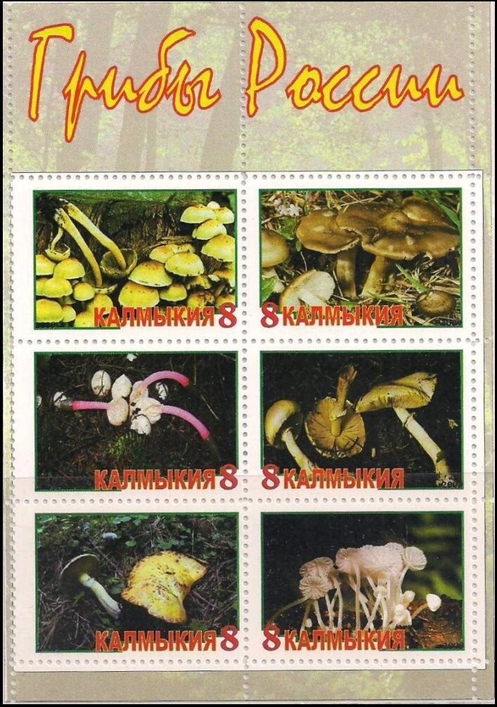 Mushrooms