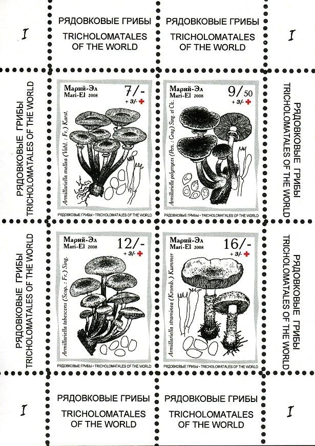 Mushrooms I