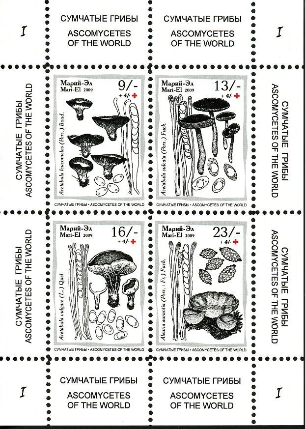 Mushrooms I