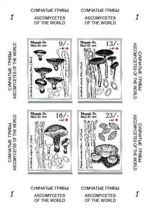 Mushrooms I