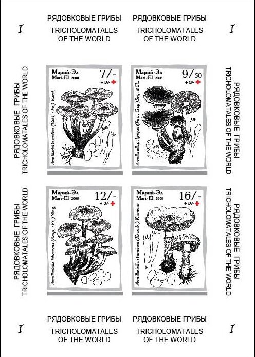Mushrooms I