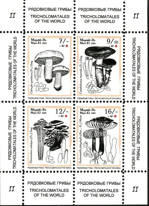 Mushrooms II