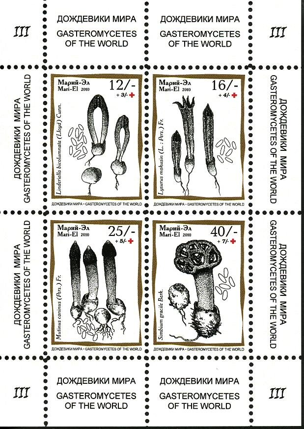 Mushrooms III