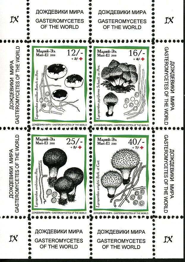 Mushrooms IX