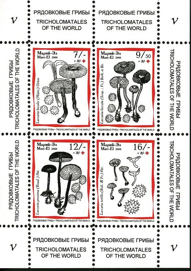Mushrooms V