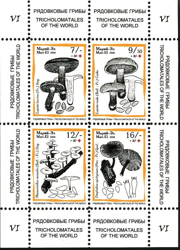 Mushrooms VI