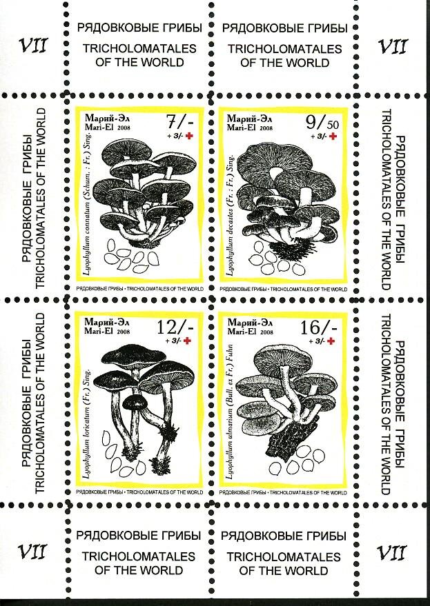 Mushrooms VII