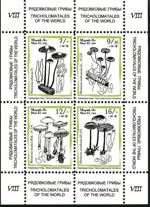 Mushrooms VIII