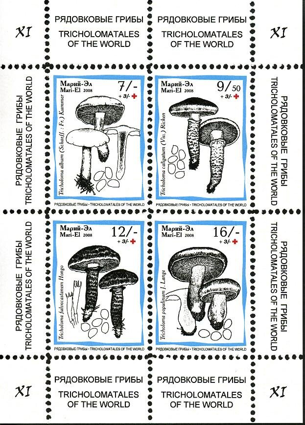 Mushrooms XI